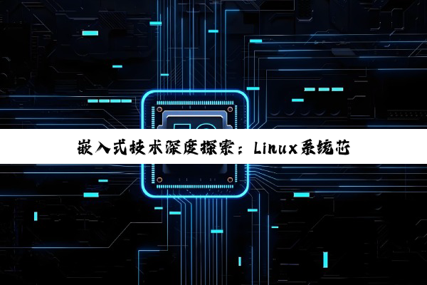 嵌入式技术深度探索：Linux系统芯片要求、DSP与ARM芯片应用前景